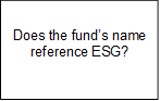 Does the fund’s name reference ESG?