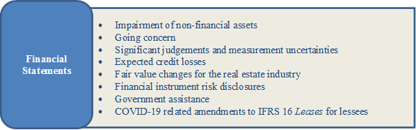 •	Impairment of non-financial assets
•	Going concern
•	Significant judgements and measurement uncertainties
•	Expected credit losses
•	Fair value changes for the real estate industry
•	Financial instrument risk disclosures
•	Government assistance
•	COVID-19 related amendments to IFRS 16 Leases for lessees
,Financial Statements