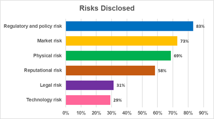 Chart outlining the types of climate-related risk disclosure provided by issuers in the Disclosure Review on a percentage basis