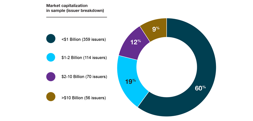 Pie chart of the issuers in review sample by market capitalization.