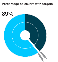 Infographic of the percentage of issuers with targets.
