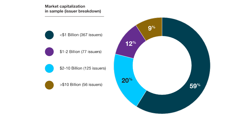 Pie chart of the issuers in review sample by market capitalization.